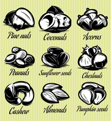 Set symbols patterns of different seeds nuts vector