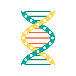 Helix structure genetic code twisted dna molecule vector