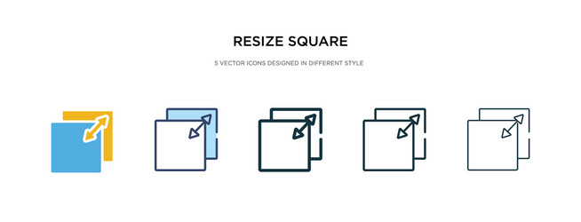 Resize square icon in different style two vector