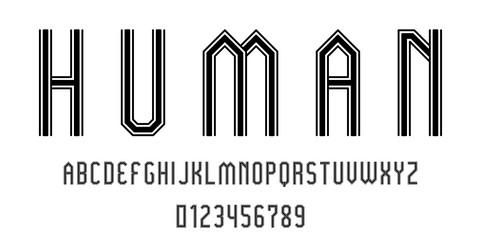 set of alphabets font letters and numbers vector image