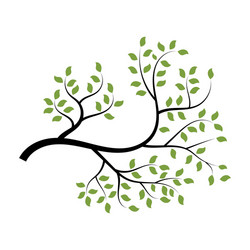 Tree branch design vector