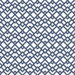 Intricate Mesh Geometric Pattern vector image