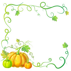 autumn frame with pumpkins and vines leaves vector