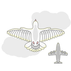 Cartoon white dove bottom view flying in sky vector