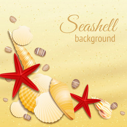 Seashells on sand background Royalty Free Vector Image