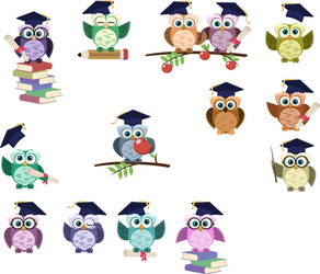 Owl in graduation cap Royalty Free Vector Image