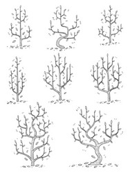 hand drawn side view tree set vector image