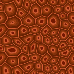 abstract modern turtle shell seamless pattern vector image