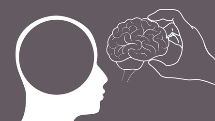 hand put brain in empty head active mental vector image