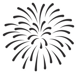 bursting firework icon event night light show vector