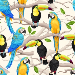 seamless pattern with macaw and toucan vector