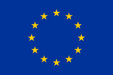 European union flag flat layout vector