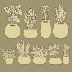 set of doodle house plants in ceramic pots Vector Image