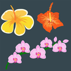 beautiful tropical flower set design summer plants Vector Image
