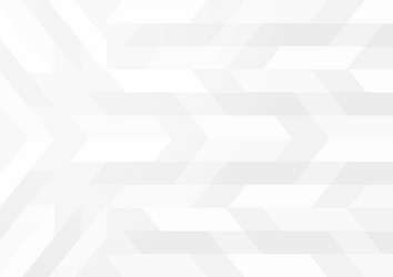 abstract background in white and gray gradient vector image