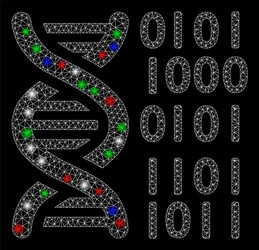 bright mesh 2d dna binary code with flash spots vector