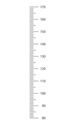 Stadiometer scale from 80 to 170 cm with markup vector