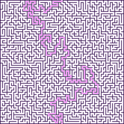 square maze with solution vector image