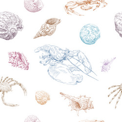 seamless hand drawn seashells and crabs pattern vector