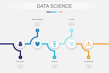 Data Science Algorithm Infographic vector