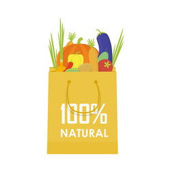 paper package with fresh healthy produce organic vector