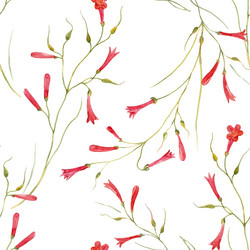 Watercolor Floral Pattern Vector Image