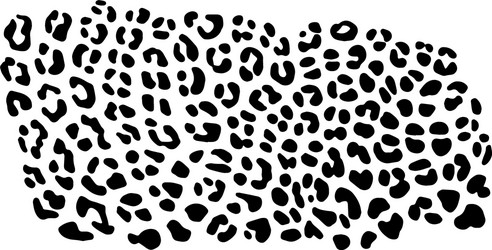 Leopard Skin Pattern Background vector image