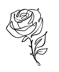 rose flower sketch beautiful floral for love Vector Image