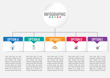 Business infographic template with rectangular vector