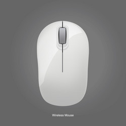 wireless computer white mouse isolated on gray vector