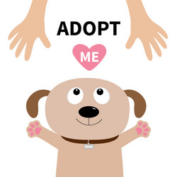 adopt me dog face pet adoption puppy pooch vector