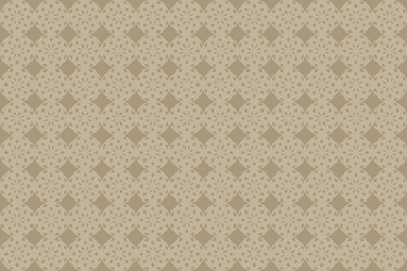 seamless geometric pattern with repeating elements vector image