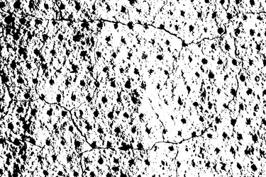 grunge dots and points texture background vector image
