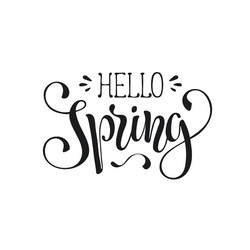 Spring Hello Wording vector image