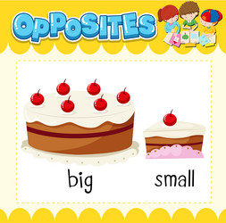 Opposite words for big and small Royalty Free Vector Image