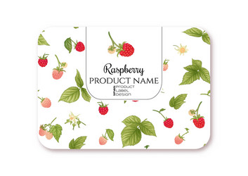 raspberry ripe berries on branch template vector image