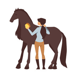 young woman cleaning a thoroughbred chestnut horse Vector Image
