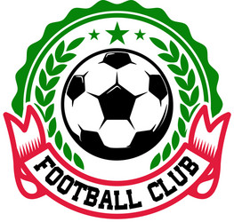 Football Team Emblem Vector Image