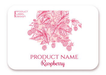 Raspberry ripe berries on branch template vector