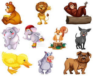 Cute cartoon wild animals species characters set Vector Image