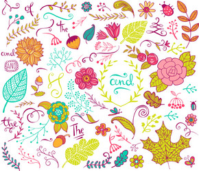 floral design elements in doodle style Vector Image