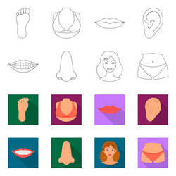 design of body and part icon set vector image