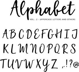 Brush Script Alphabet - Marker & Ink vector image