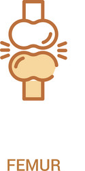 femur concept 2 colored icon simple line element vector image