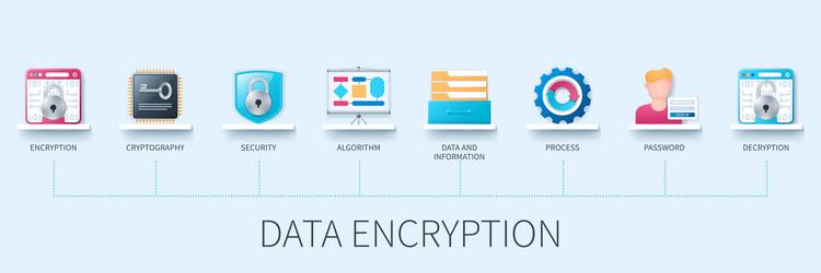 Data Security & Encryption Infographic vector image