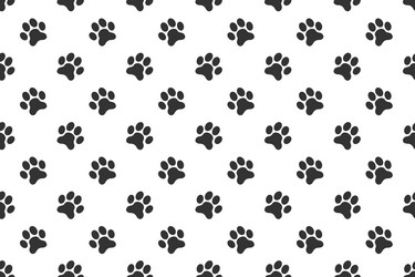 pet paw print seamless pattern dog or cat Vector Image