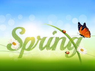 spring background with grass sky and a butterfly vector