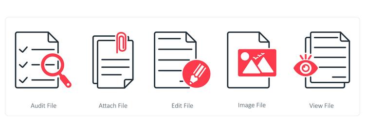 a set of 5 files icons as audit file attach vector image