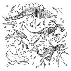 dinosaurs fossils isolated on a white background vector image