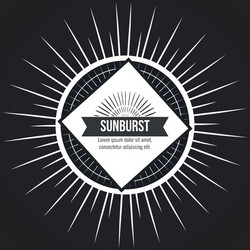 Sunburst Radial Pattern vector